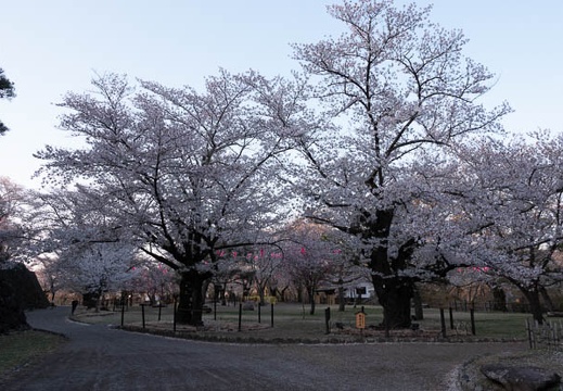 201804130557-DSC09887RX10M4.jpg