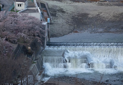 201804130600-DSC09897RX10M4.jpg