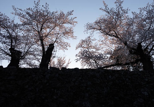 201804130605-DSC09915RX10M4.jpg