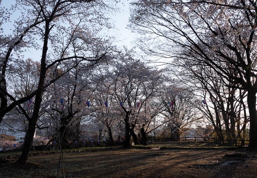 201804130631-DSC00020RX10M4.jpg
