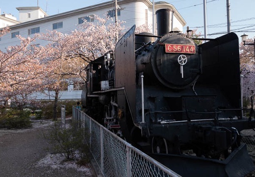 201804130639-DSC00042RX10M4.jpg
