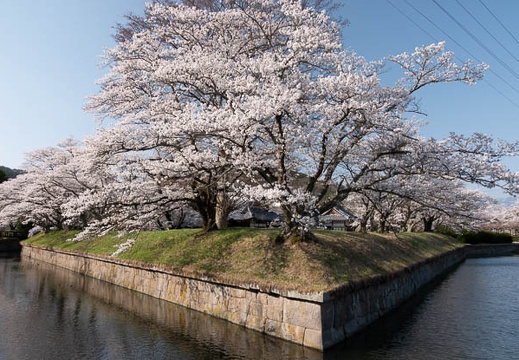 04.13 長野