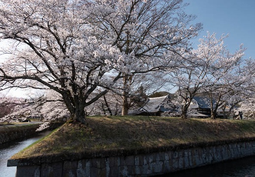 201804130735-DSC00063RX10M4.jpg