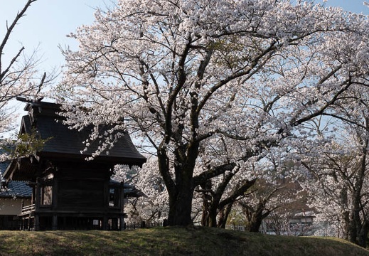 201804130737-DSC00070RX10M4.jpg