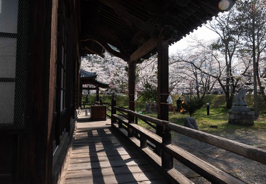 201804130807-DSC00175RX10M4.jpg