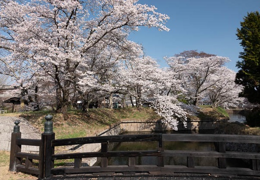 201804130812-DSC00192RX10M4.jpg
