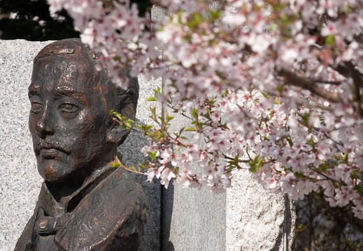 201804130817-DSC00205RX10M4.jpg