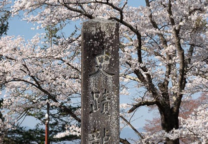 201804130817-DSC00206RX10M4.jpg