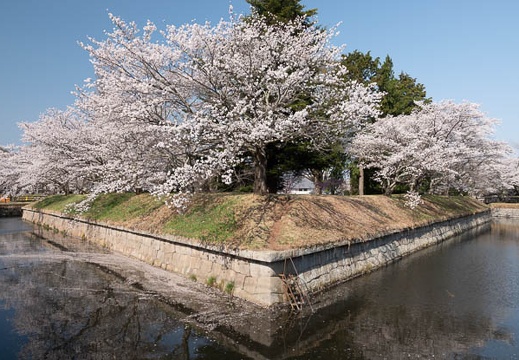 201804130822-DSC00221RX10M4.jpg