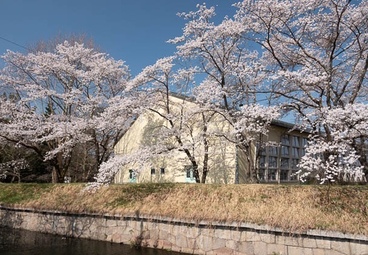 201804130829-DSC00251RX10M4.jpg