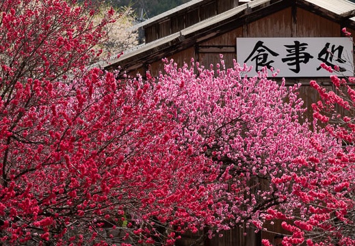 04.16 昼神温泉