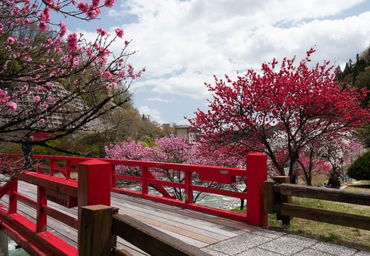 201804161214-DSC01105RX10M4.jpg