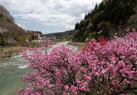 201804161214-DSC01107RX10M4.jpg