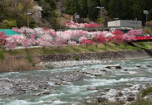 201804161224-DSC01143RX10M4.jpg