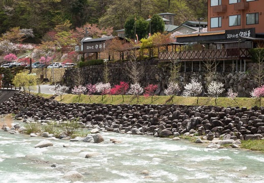 201804161231-DSC01157RX10M4.jpg
