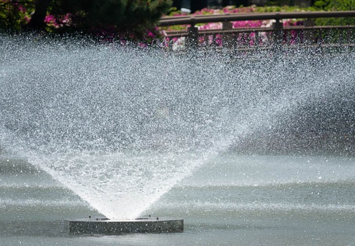 201804211216-DSC01444RX10M4.jpg