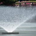 201804211216-DSC01444RX10M4.jpg