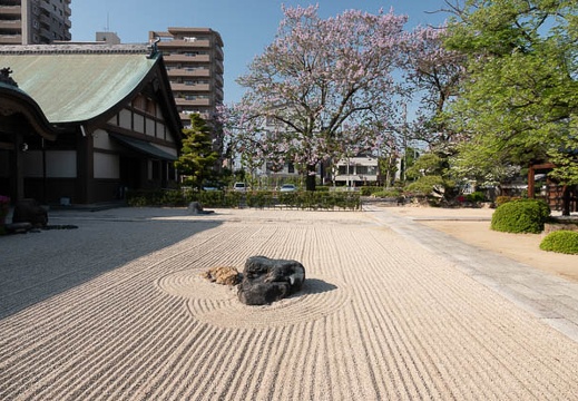 201804211542-DSC01582RX10M4.jpg