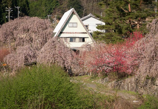 201804220641-DSC01619RX10M4.jpg