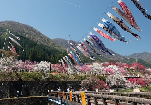 201804220919-DSC01906RX10M4.jpg