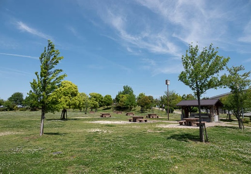 201804261145-DSC03229RX10M4.jpg