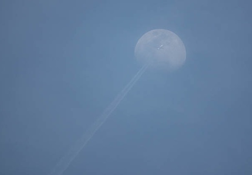 201804261717-DSC03468RX10M4.jpg