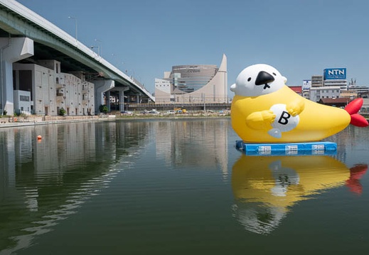 201804281226-DSC03829RX10M4.jpg