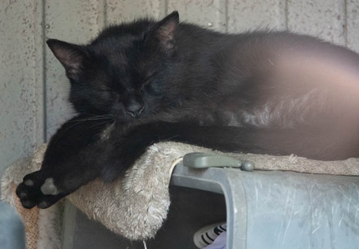 201804281611-DSC04059RX10M4.jpg