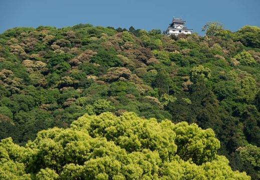 201805040900-DSC04388.jpg
