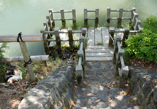 201805041200-DSC04709.jpg