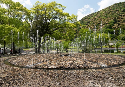 201805041221-DSC04749.jpg