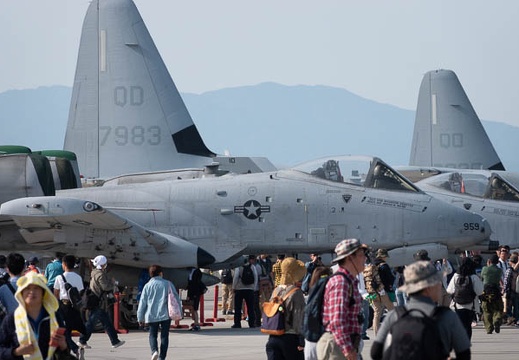 201805050759-DSC04917.jpg
