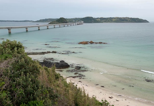 201805060717-DSC07656.jpg