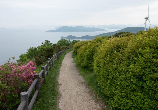 201805061111-DSC07891.jpg