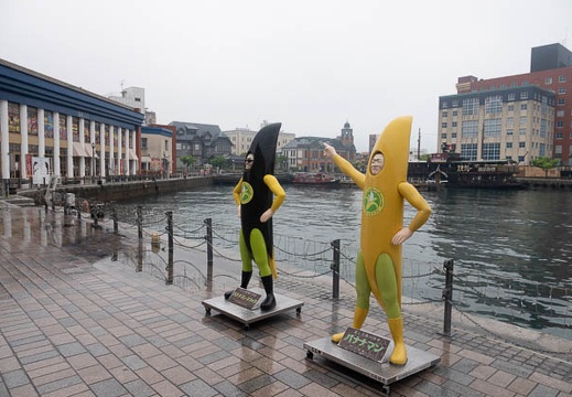 201805070939-DSC07989.jpg