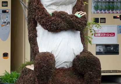 201805080829-DSC08394.jpg