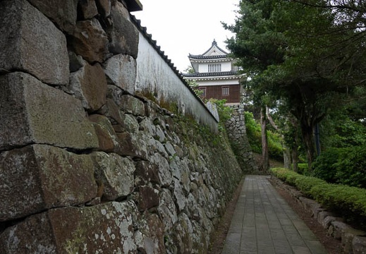 201805081117-DSC08567.jpg