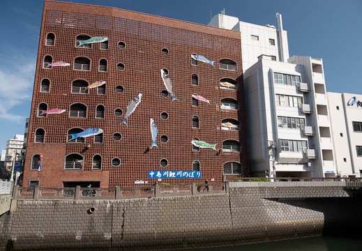 201805100810-DSC09578.jpg