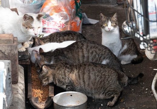 201805100835-DSC09673.jpg