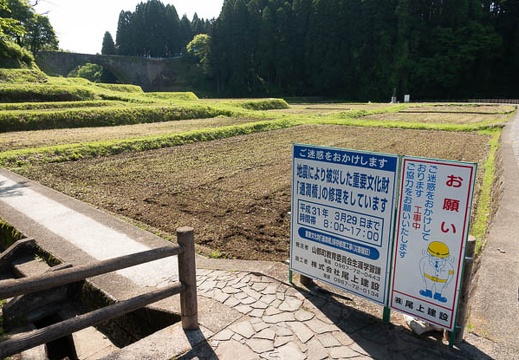 201805110901-DSC00472.jpg