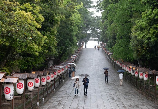 201805130942-DSC01637.jpg