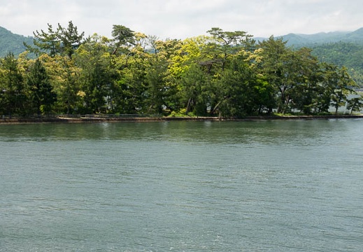 201805141308-DSC02282.jpg