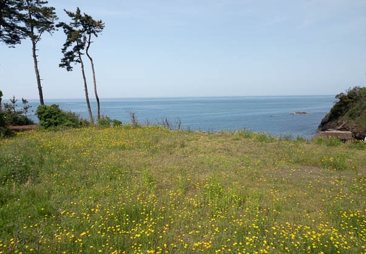 201805150904-DSC02669.jpg