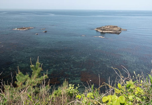 201805150911-DSC02676.jpg