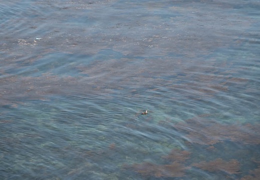 201805150911-DSC02680.jpg