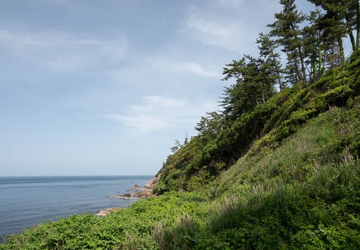 201805150914-DSC02684.jpg