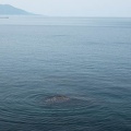 201805150930-DSC02711.jpg