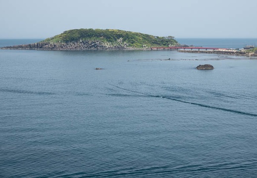 201805151019-DSC02792.jpg