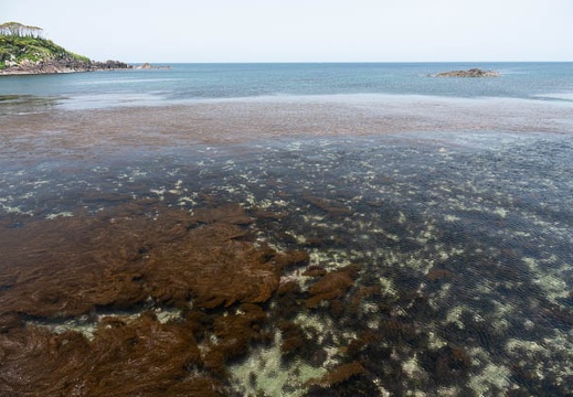 201805151146-DSC02879.jpg