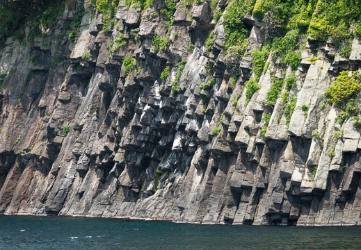 201805151149-DSC02890.jpg